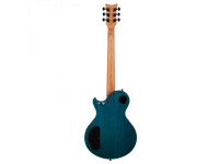 Schecter Schecter